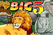 Big 5 Casinospiel kostenlos