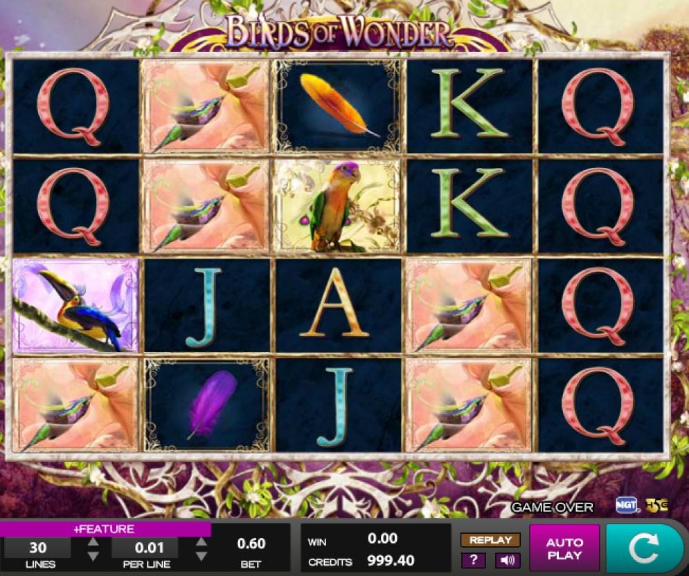 Birds of Wonder Birds of Wonder Video Slot