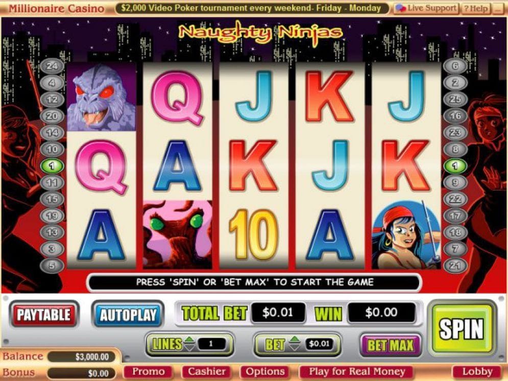 Naughty Ninjas Video Slot