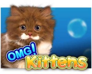 OMG! Kittens Casinospiel freispiel