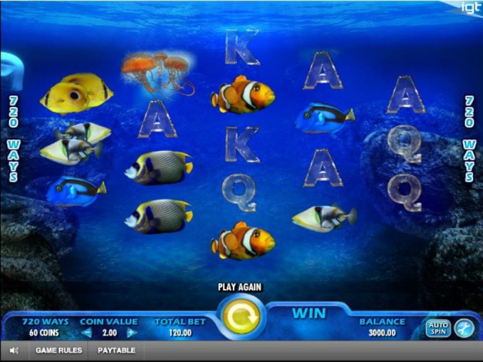 Pacific Paradise Pacific Paradise Video Slot