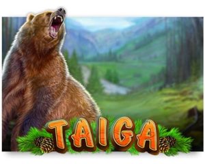 Taiga Spielautomat freispiel