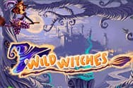 Wild Witches Spielautomat